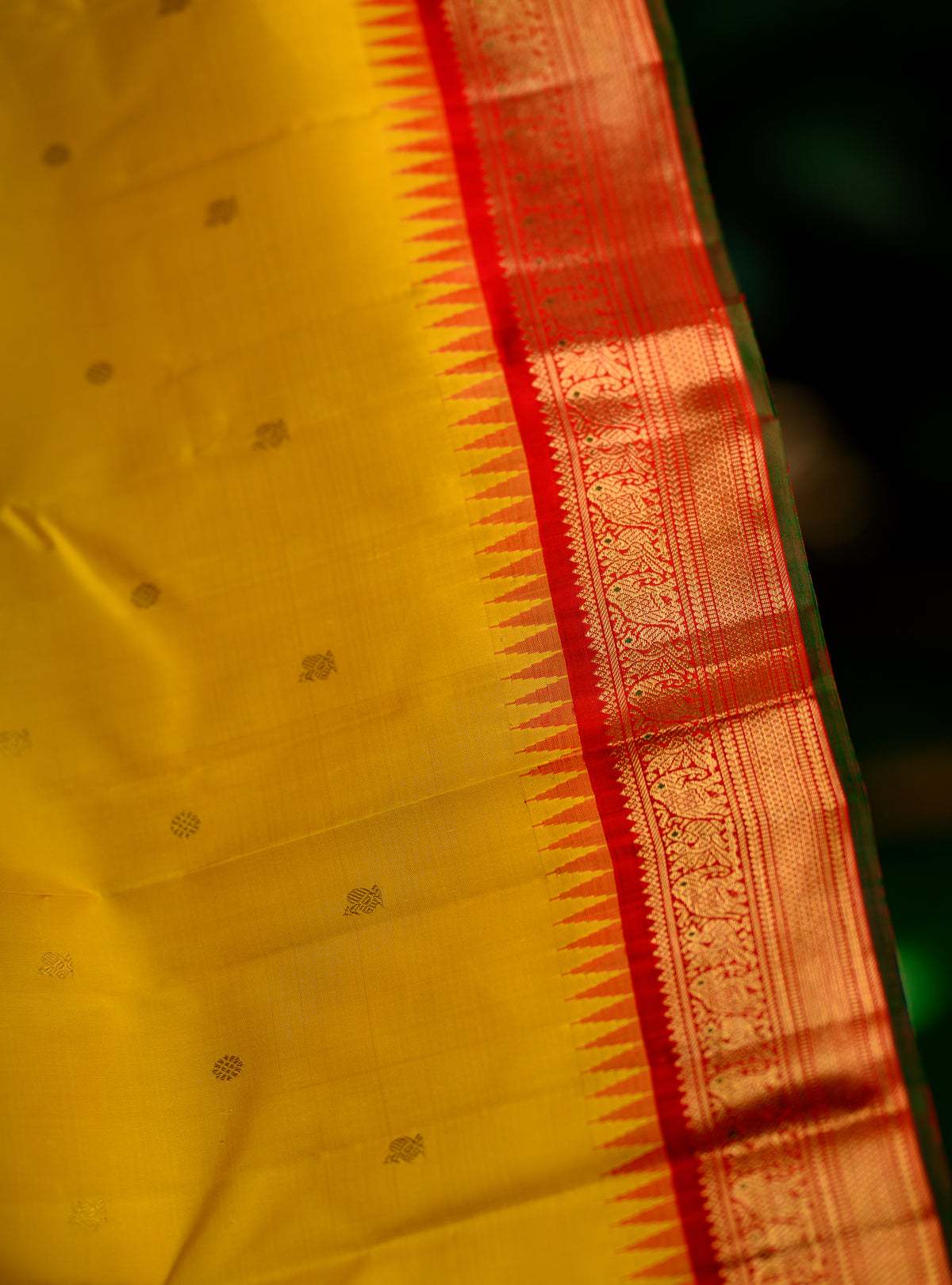 Pure silk, pure zari Korvai Kanchivaram in a beautiful turmeric yellow body, featuring elegant peacock and tiny Kamalam buttas.