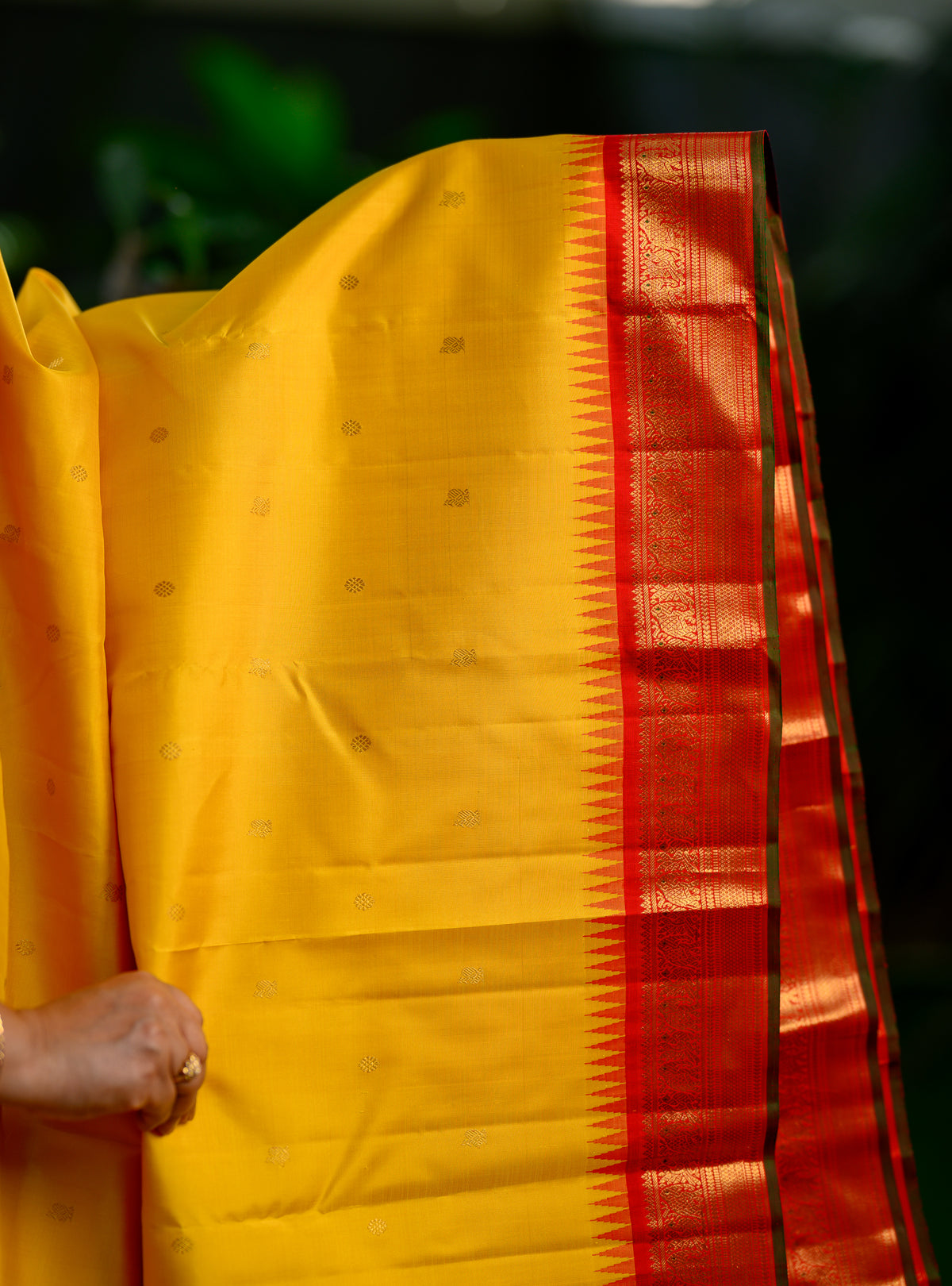 Pure silk, pure zari Korvai Kanchivaram in a beautiful turmeric yellow body, featuring elegant peacock and tiny Kamalam buttas.