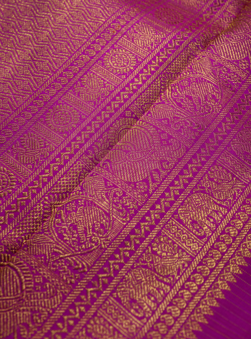A borderless zari kattam kanchivaram  in purple
